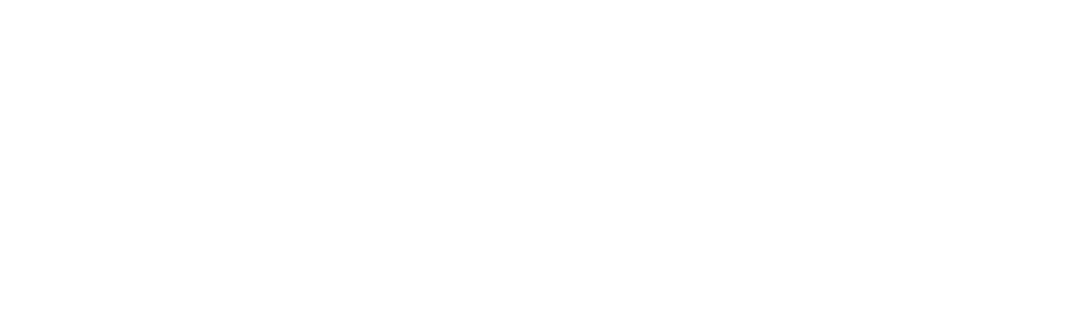 T-ASEGURAMOS LTDA